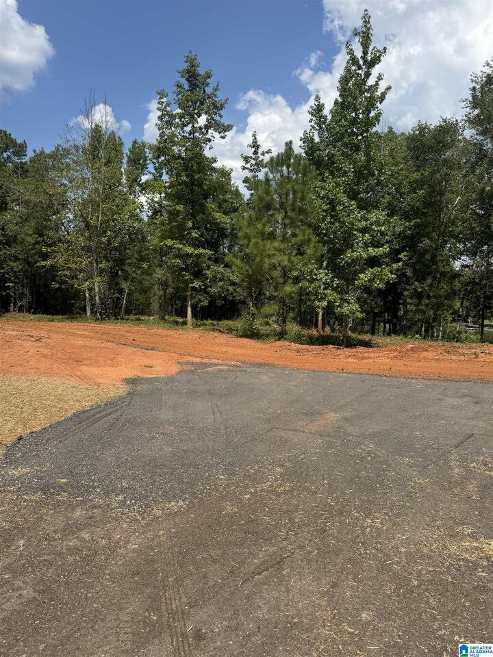 Property Photo:  Lot19 Cam's Cov Old Highway 431 Lot 19  AL 36278 