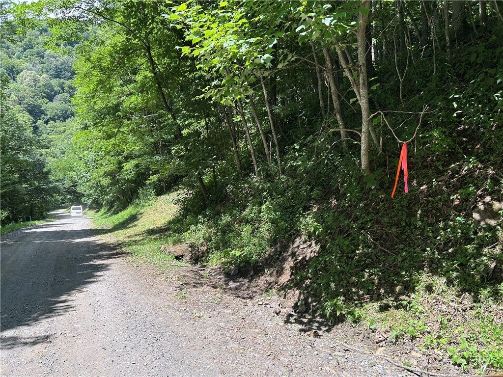Property Photo:  Tbd Lot Bw Little Tree Road  NC 28694 