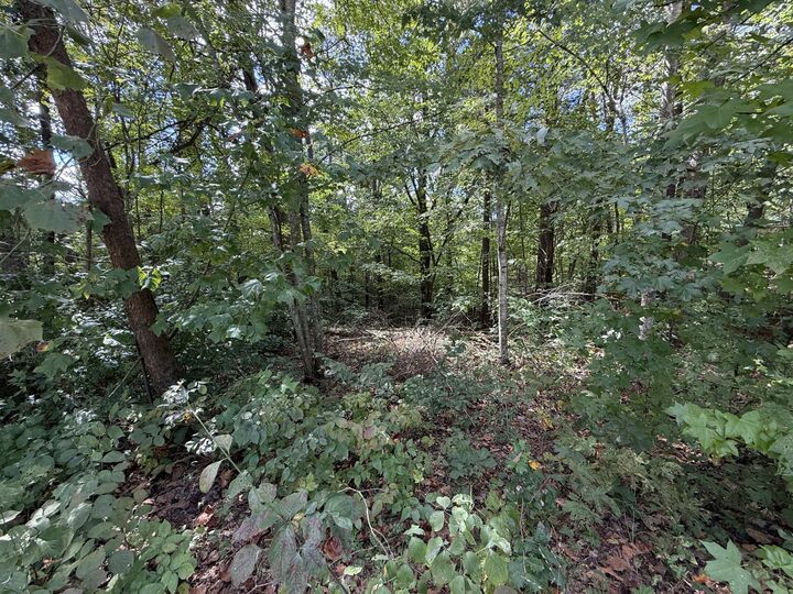 Property Photo:  00 E Taxiway Drive Lot 20  KY 42602 