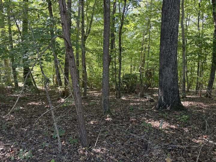 Property Photo: 0 E Taxiway Drive Lot 15 KY 42602
