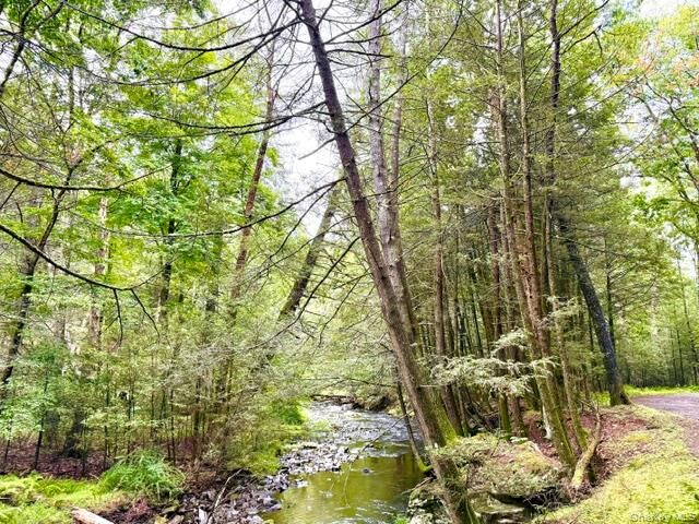 Property Photo:  Lot 9 Black Forest Road  NY 12737 