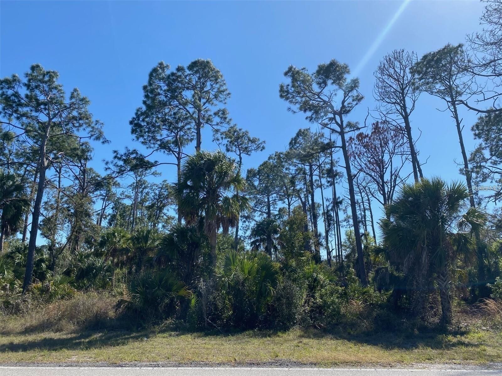Property Photo:  17467 Hillsborough Boulevard  FL 33954 