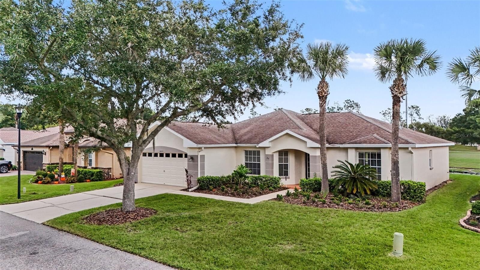 Property Photo:  10223 Collar Drive  FL 33576 