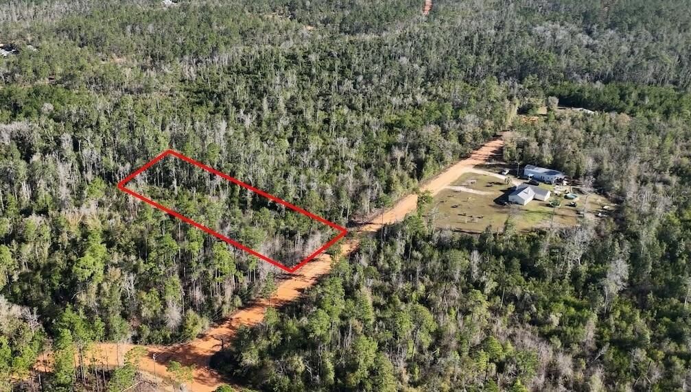 Property Photo:  Bienville Court  FL 32420 