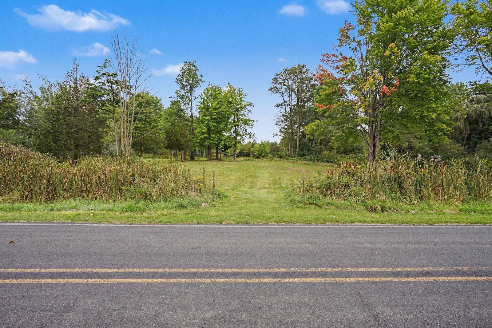 Property Photo:  V/L County Road 376  MI 49013 