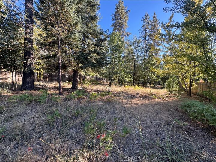 Property Photo:  0 Fern Valley Road  CA 92549 