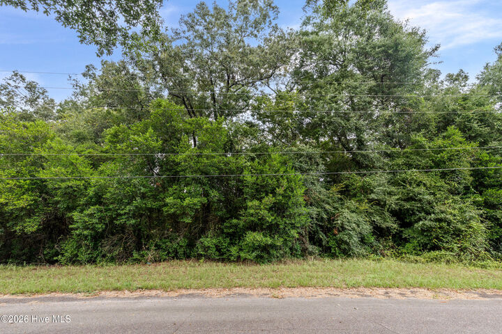 Property Photo: 121 Rhodes Street SC 29831