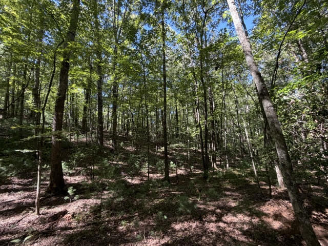 Property Photo:  305-433 Seneca Drive  GA 30540 