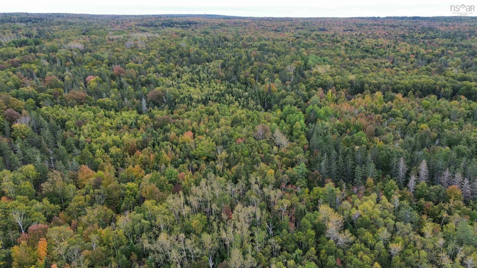 Property Photo:  Lot 1 Seaman Street  NS B0S 1N0 