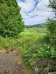 Property Photo: 443 State Hwy 6 WA 98577