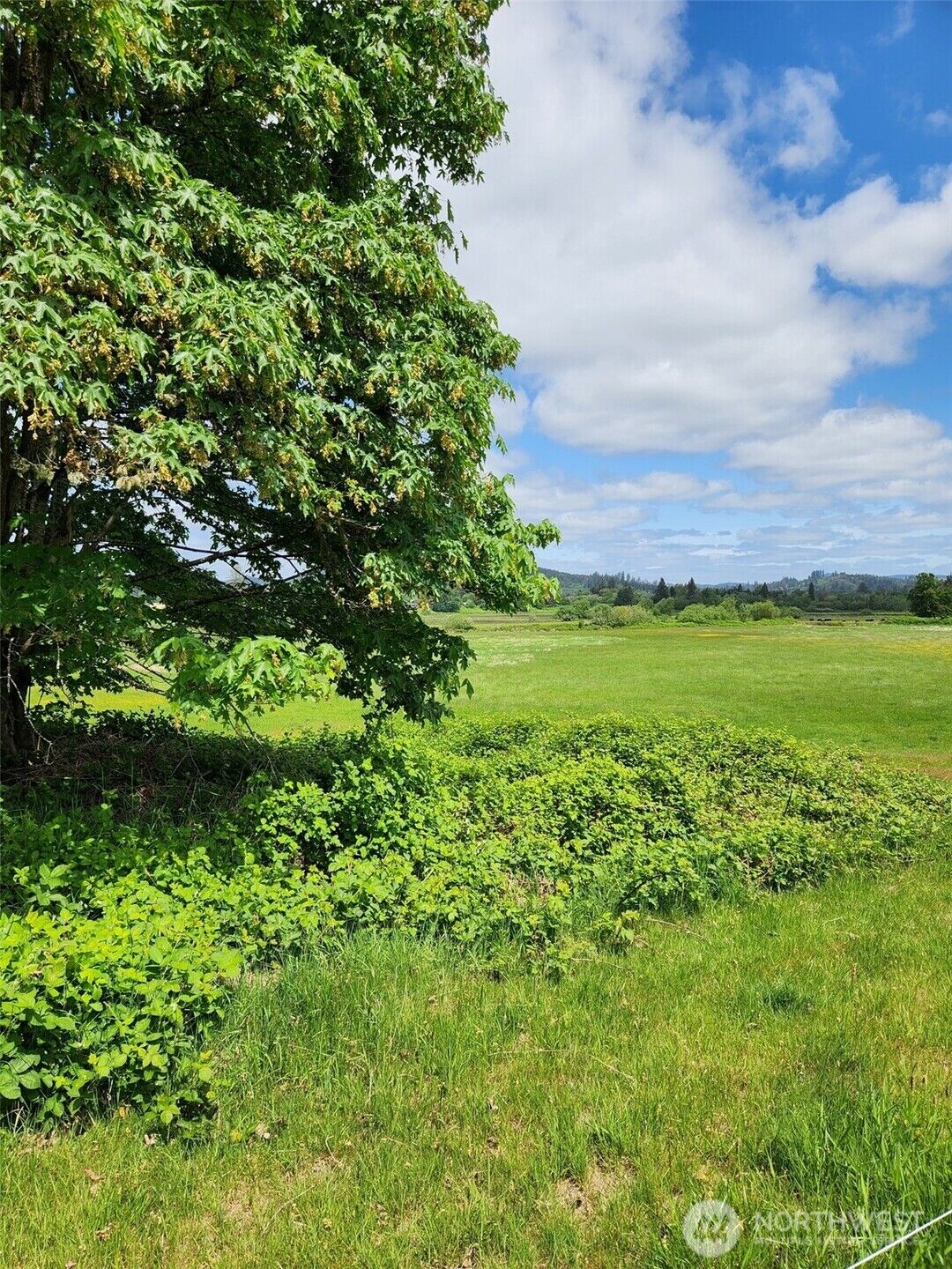 Property Photo: 0 State Hwy 6 WA 98577