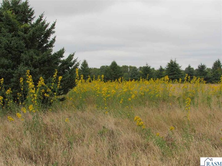 Property Photo: 40929 95th Street MN 56013