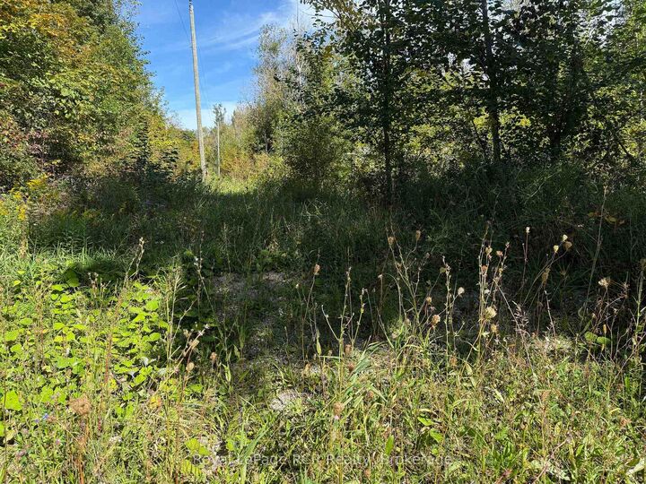 Property Photo:  Ptlt 16 Sideroad 16A N/A  ON N0C 1H0 