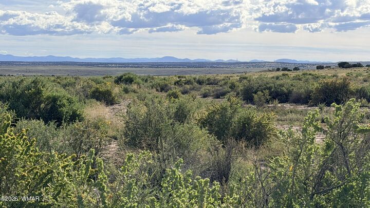 Property Photo:  Tbd N 6543  AZ 85936 
