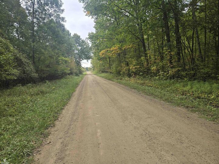 Property Photo: 00 Reddicliffe Vl Road MI 48454