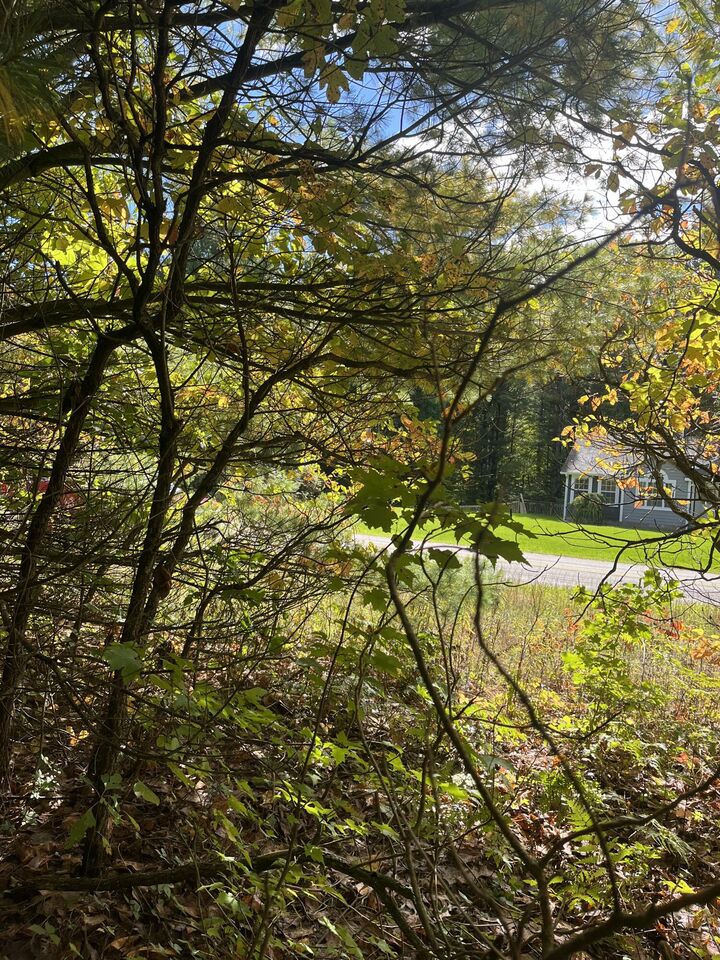 Property Photo:  Vl Sweeter Road  MI 49457 