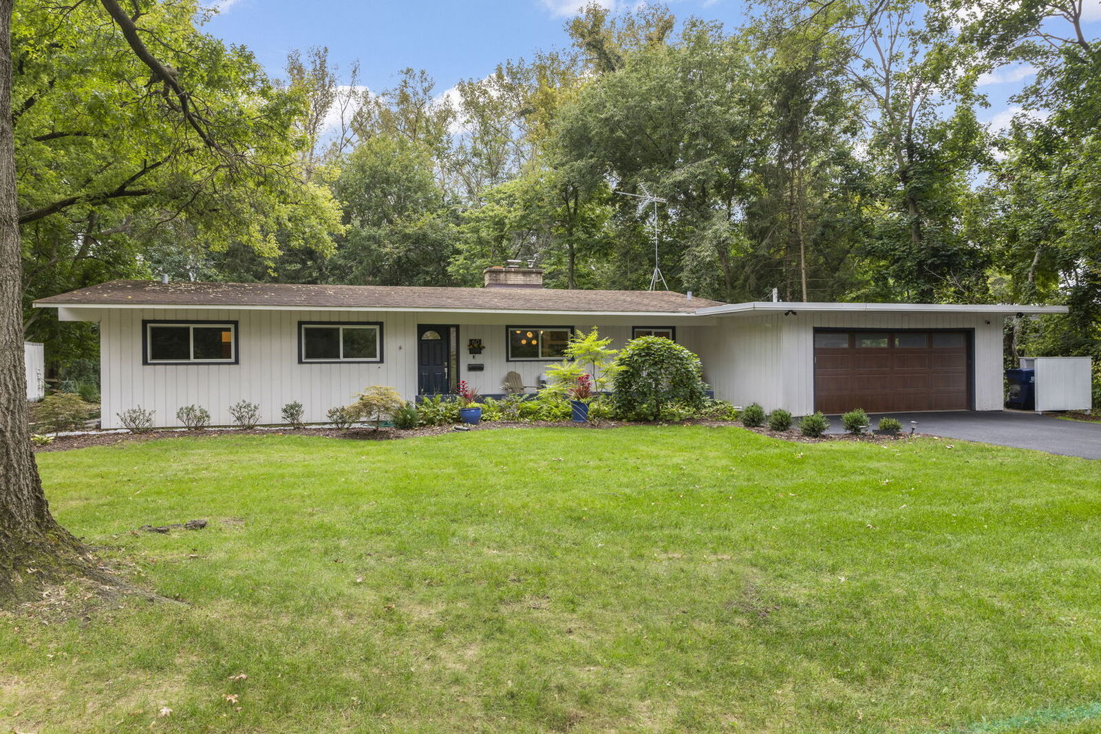 Property Photo:  60 Golden Larch Court  IL 60540 