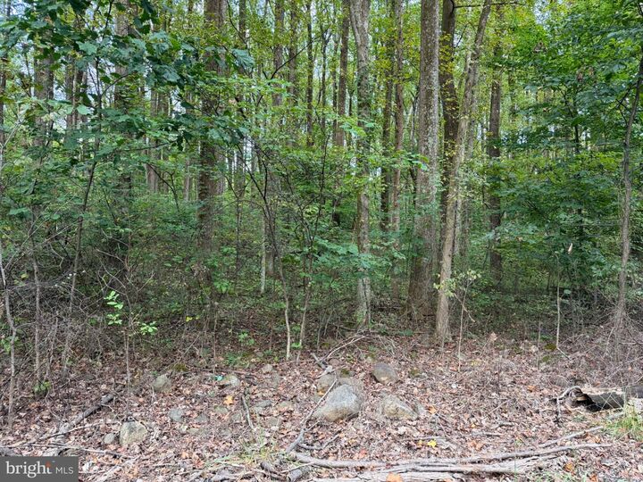 Property Photo:  Smith Run  VA 22610 