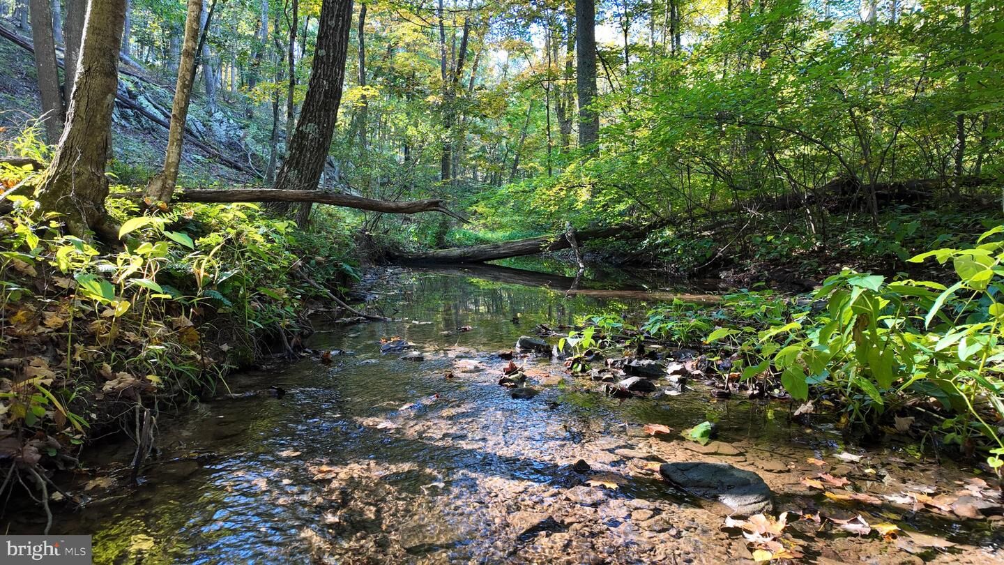 Property Photo:  Cold Run Valley Road  WV 25411 