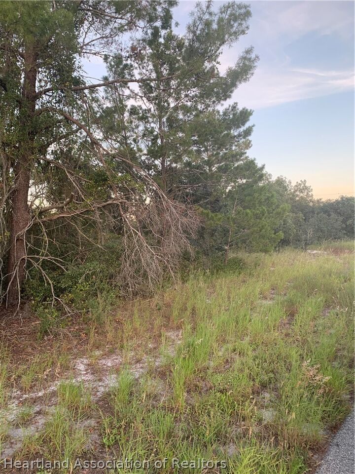 Property Photo:  245 Loquat Road NW  FL 33852 