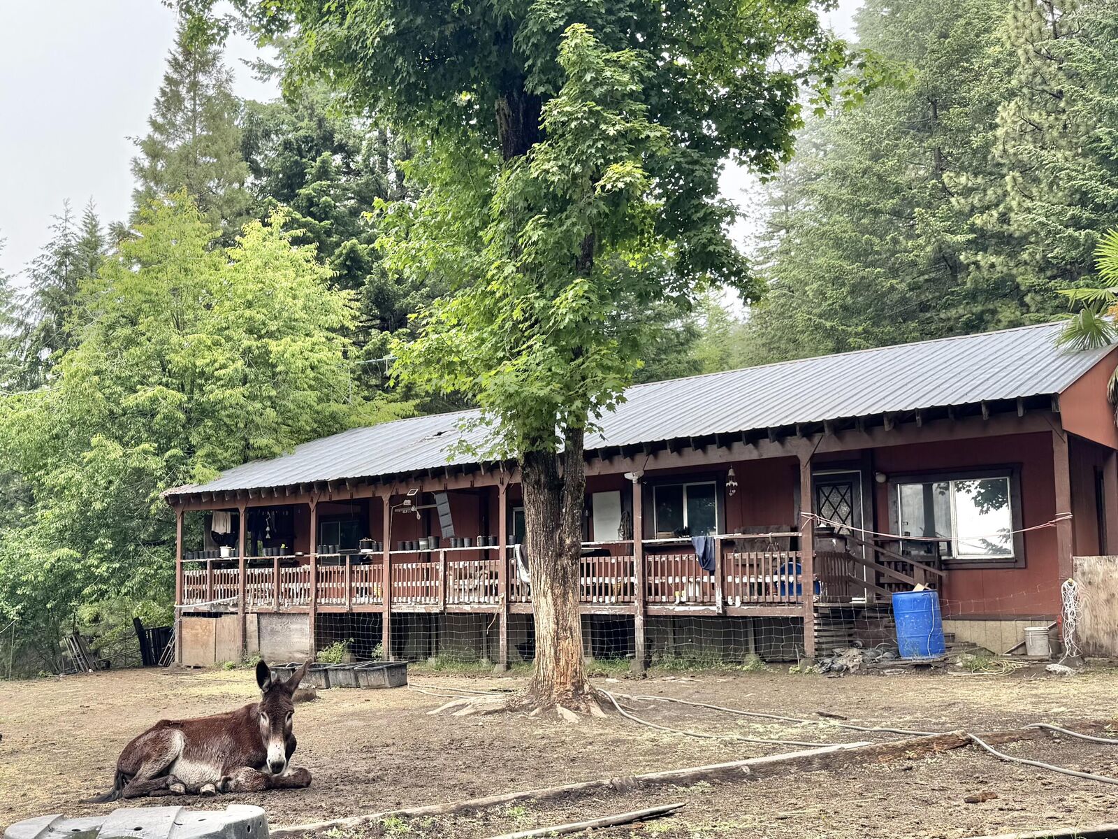 Property Photo: 12575 Buck Mountain Road CA 95526