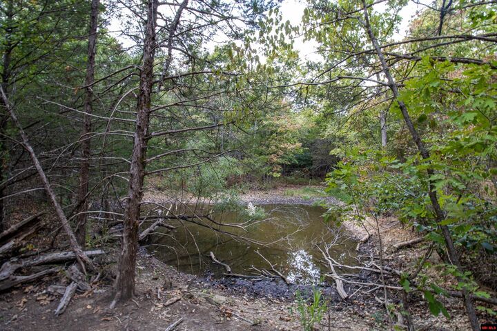 Property Photo:  Lot 43 Cr 1420  AR 72653 