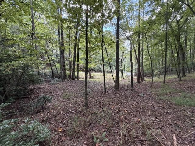 Property Photo:  Lot 133 Seneca Drive  GA 30540 