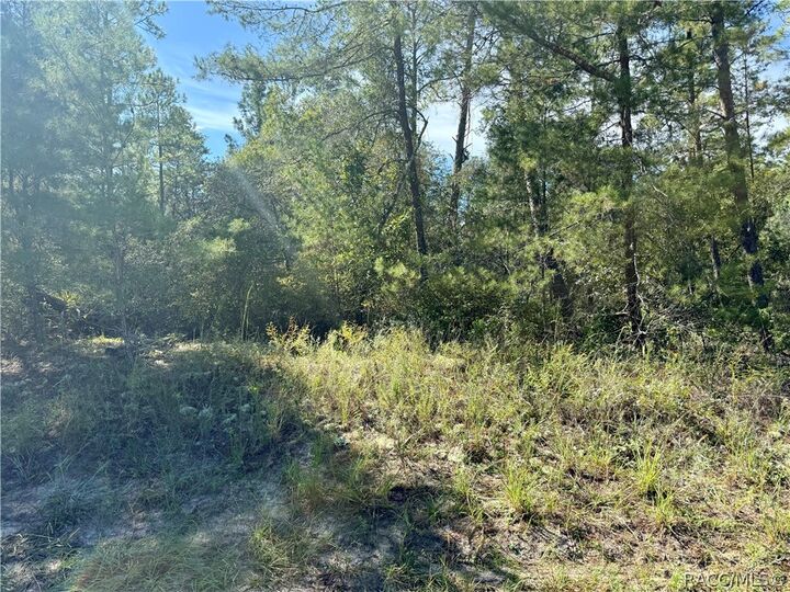 Property Photo: 4419 W Malaluka Circle FL 34433