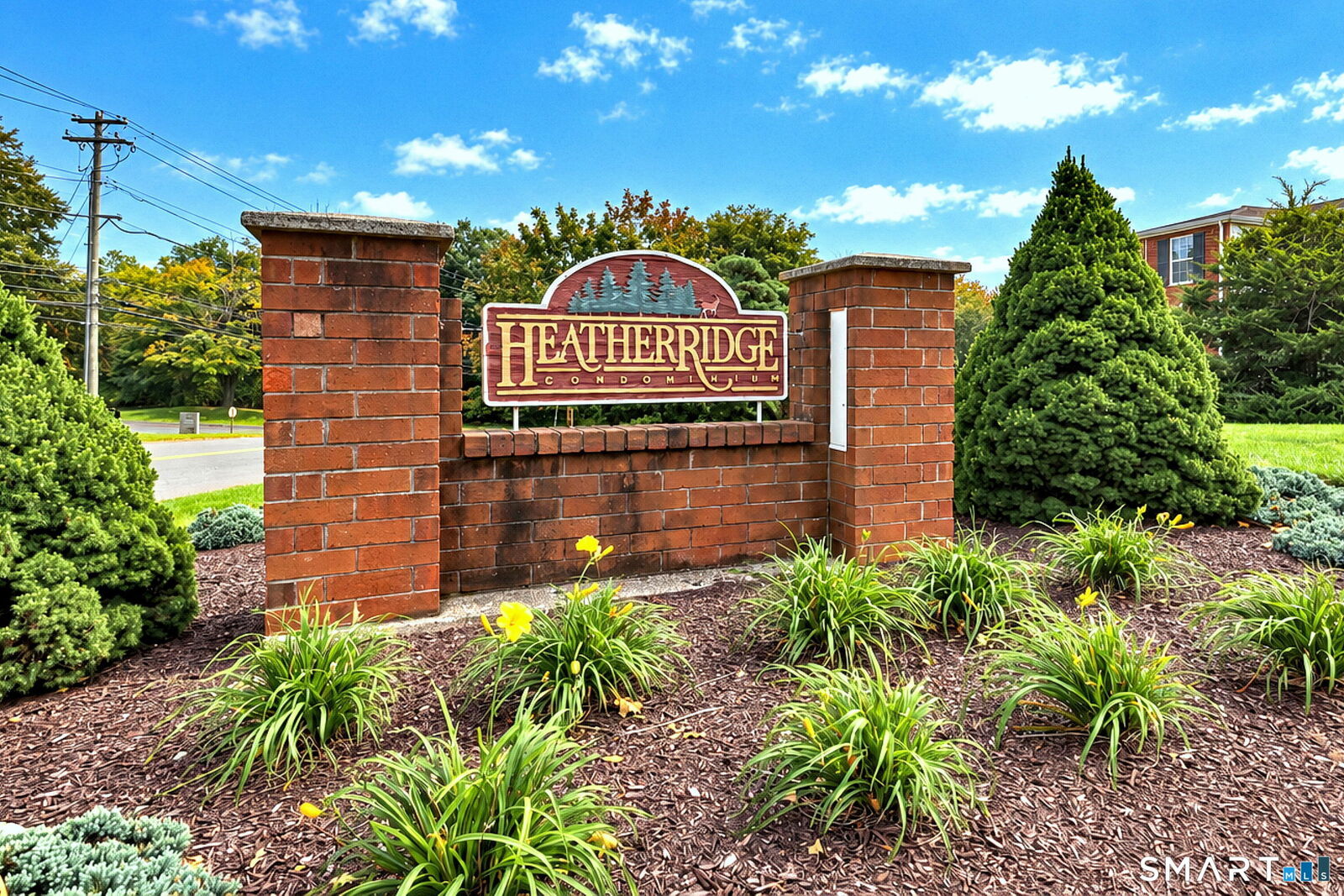 Property Photo: 60 Heather Ridge 60 CT 06484