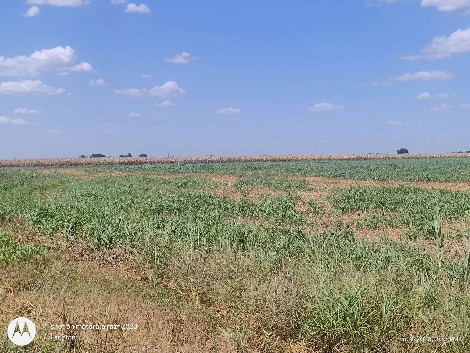 Property Photo: 2016 Rolling Meadows Drive TX 78615