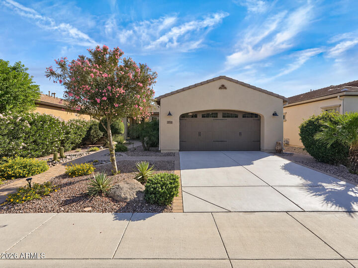Property Photo:  253 E Alcatara Avenue  AZ 85140 