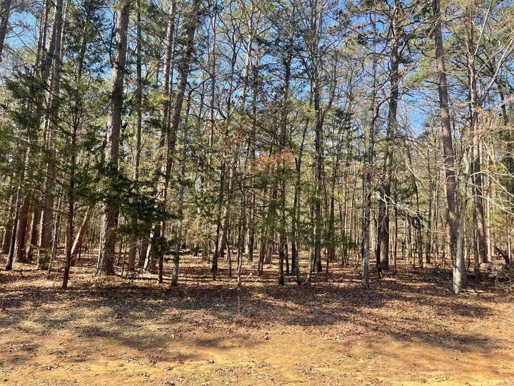 Property Photo: 000 Santa Lucia Drive AR 72088