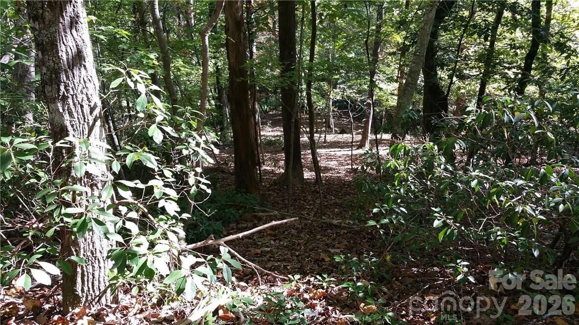 Property Photo: 0 Grandview Drive 83 NC 28746