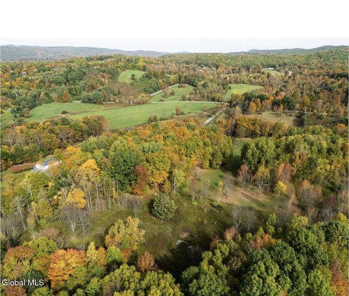 Property Photo: L23 Blossom Rd Road NY 12865