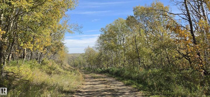 Property Photo:  Twp Rd 460 And Rge Rd 230  AB T9A 1W9 