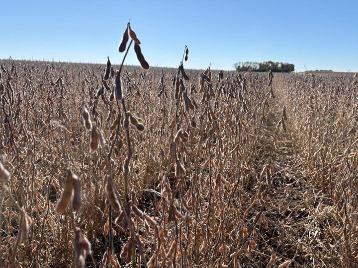 Property Photo:  Tbd 540th Avenue  MN 56097 