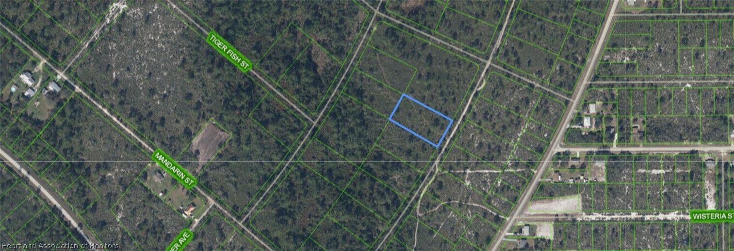 Property Photo:  720 Dolphin Avenue  FL 33852 