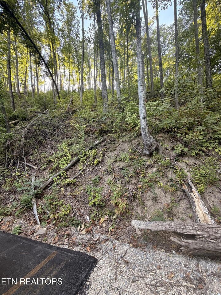Property Photo: Whipoorwill Hill Way 28 TN 37862