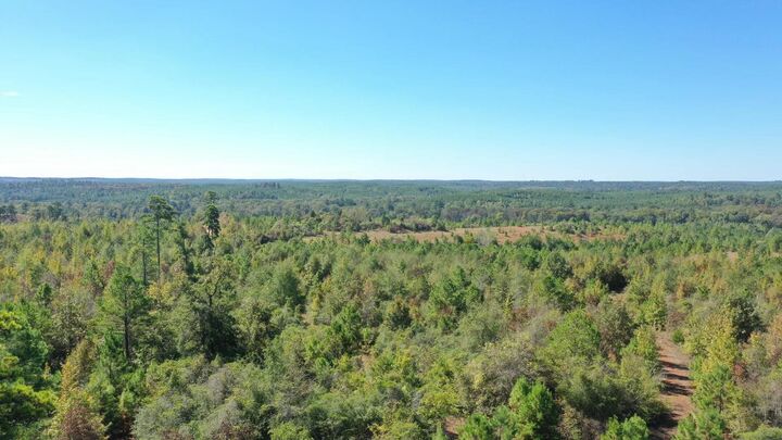 Property Photo:  0 Easement Rd Off Cr 1648  TX 75657 