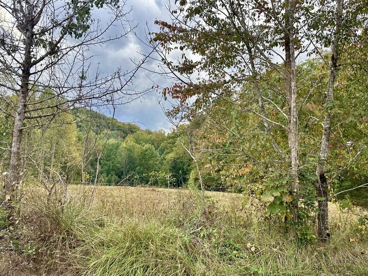 Property Photo:  1073 Old Way Road  KY 40741 