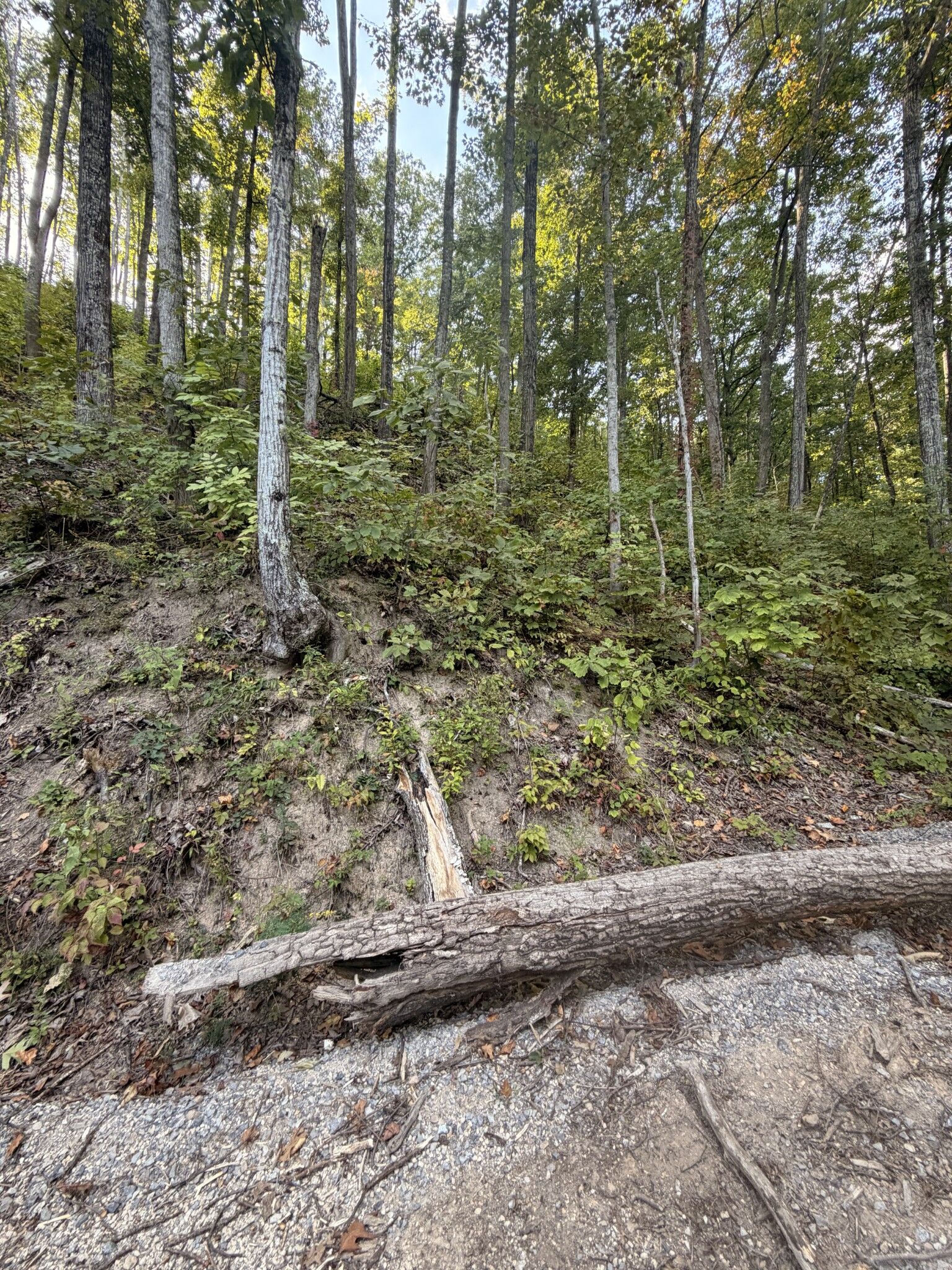 Property Photo: 0 Whippoorwill Hill Way TN 37862