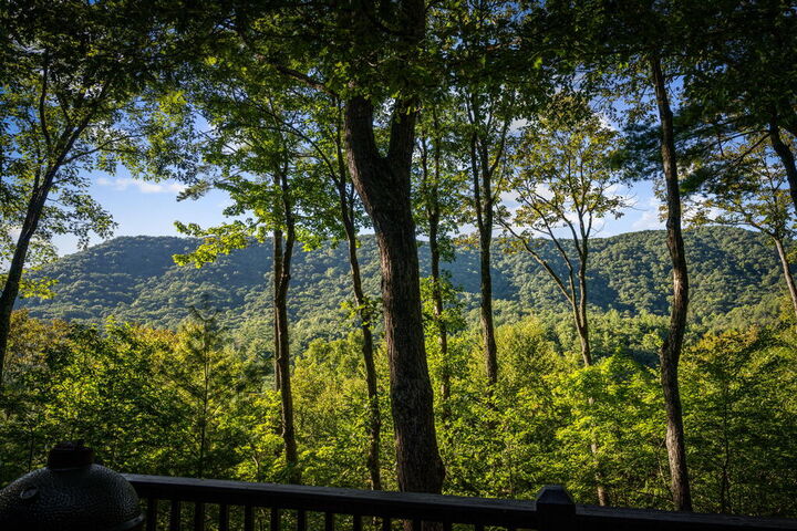Property Photo:  241 Wilderness Way  GA 30536 