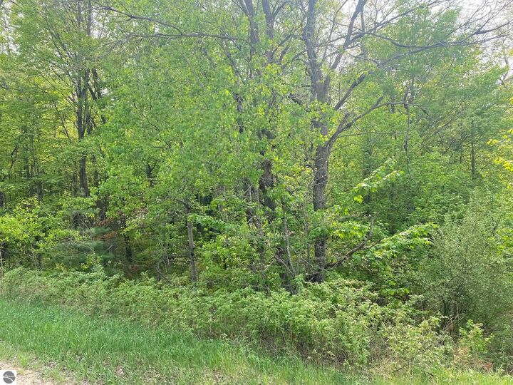 Property Photo:  Fribourg Drive  MI 49677 