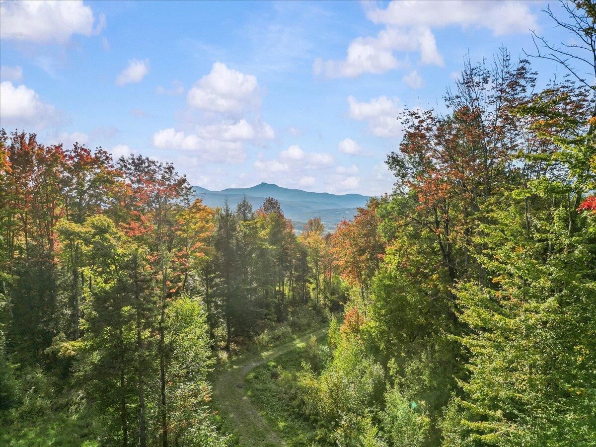 Property Photo:  00 Bear Creek Lane  VT 05671 