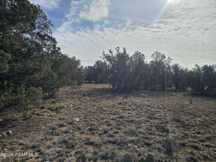 Property Photo: 56056 N Bridge Canyon Parkway AZ 86337