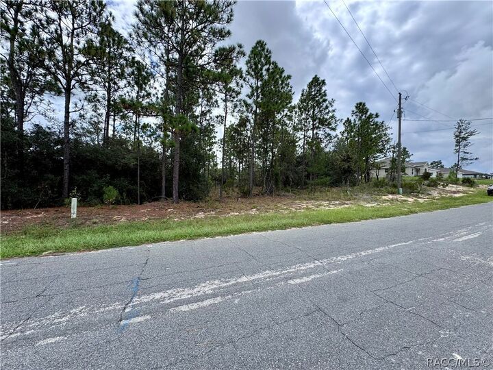 Property Photo:  10250 N Spaulding Drive  FL 34433 