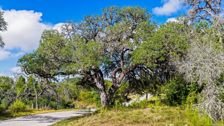 Property Photo:  174 Upper Mason Creek Rd  TX 78010 