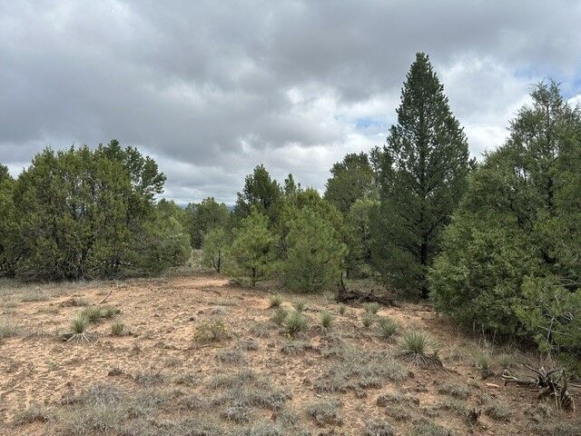 Property Photo:  6 Acres Off Of Nm 34  NM 87562 