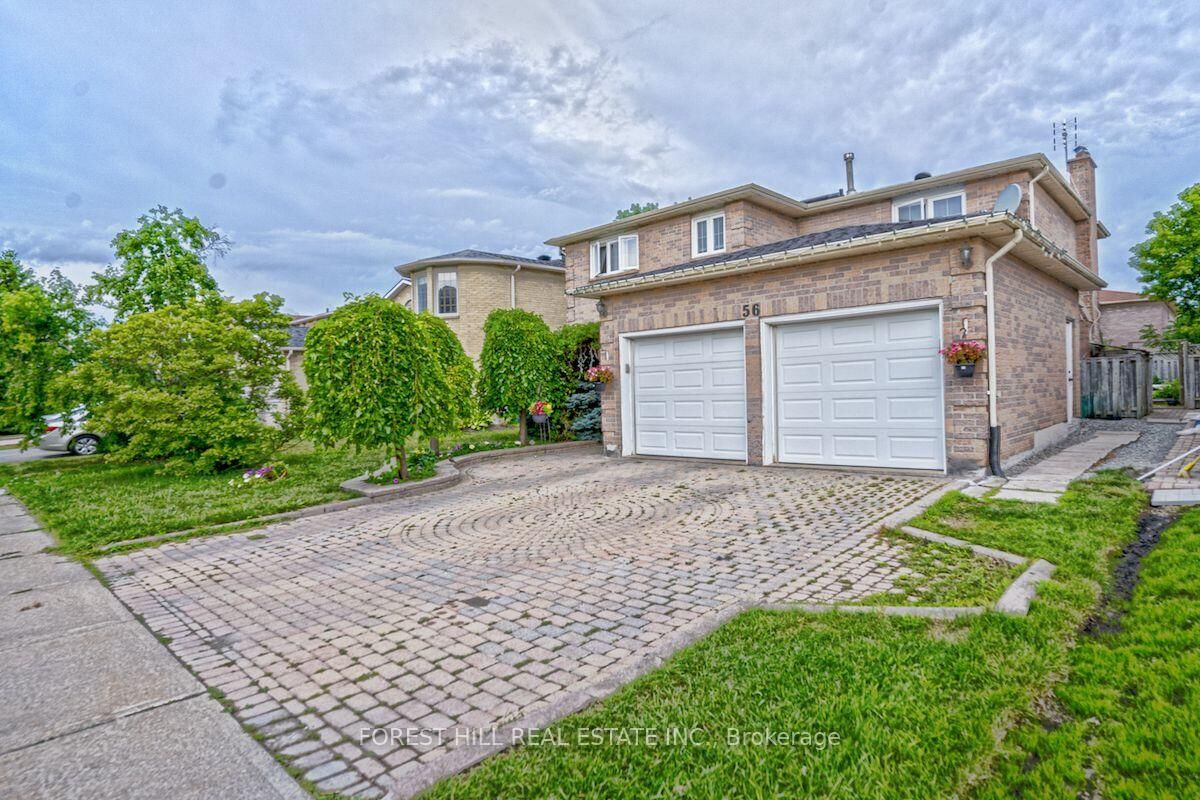 Property Photo:  56 Cooperage Crescent Bsmt  ON L4C 9L5 