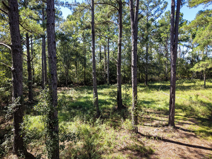 Property Photo: 0 US Hwy 129 GA 31639